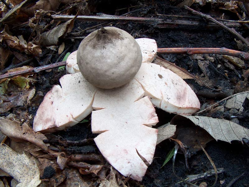 Nuova uscita,nuovi ritrovamenti.